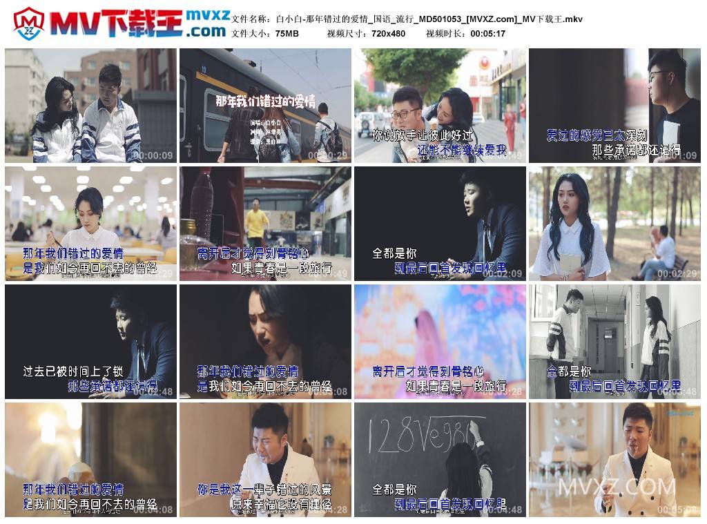 白小白-那年错过的爱情_国语_流行_MD501053